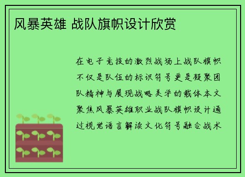 风暴英雄 战队旗帜设计欣赏